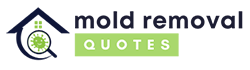 mold removal buford