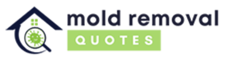 mold removal buford